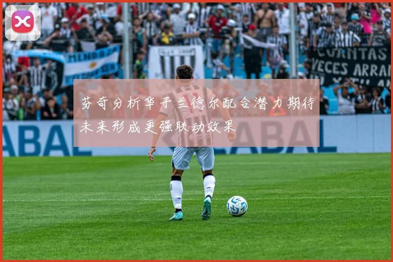 芬奇分析华子兰德尔配合潜力期待未来形成更强联动效果