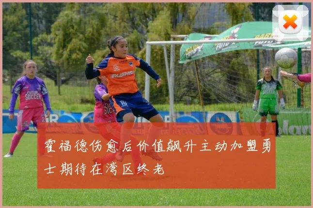 霍福德伤愈后价值飙升主动加盟勇士期待在湾区终老